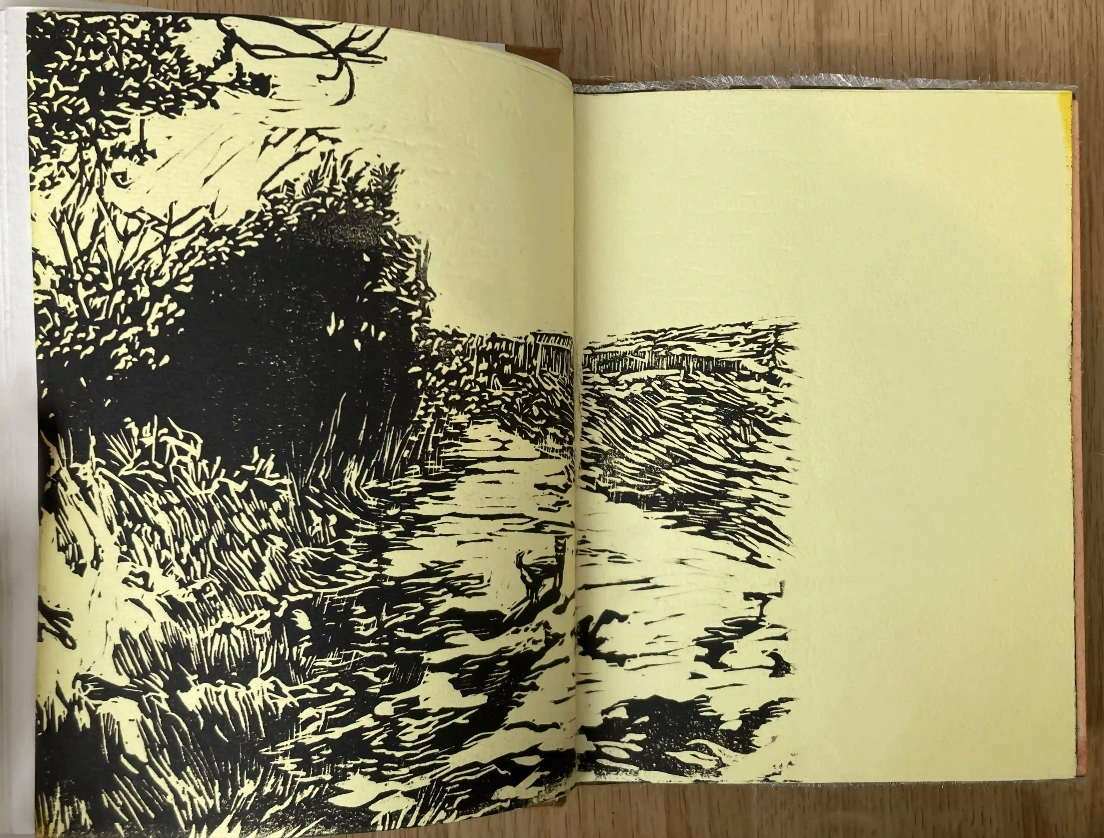 Obra 3